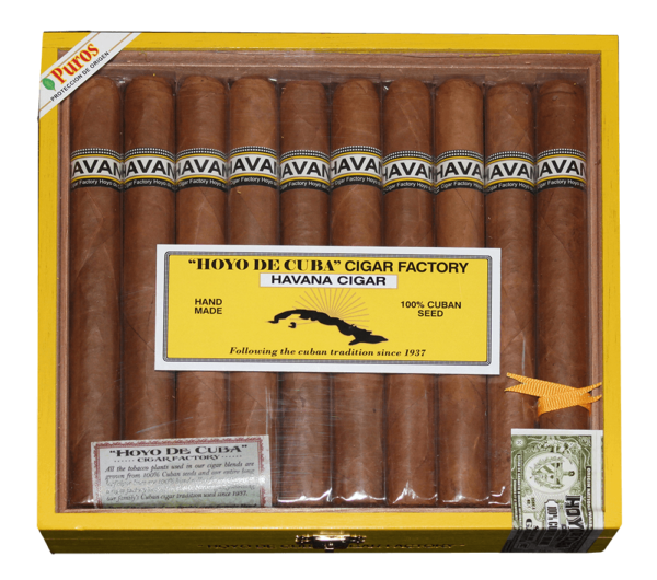 Havana Churchill Cigars - Box of 20